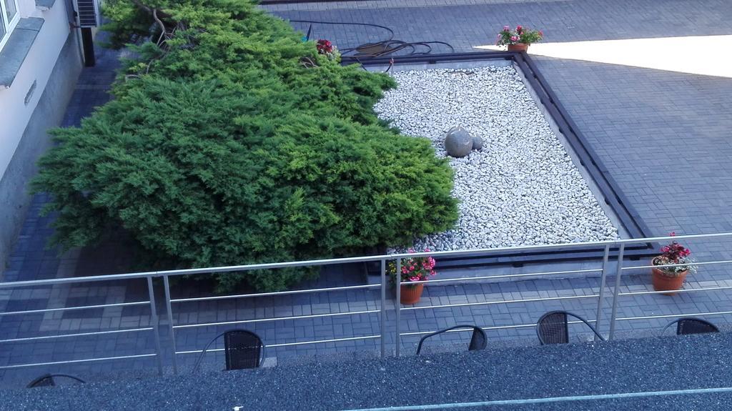 Hotel Odr Sulechów エクステリア 写真